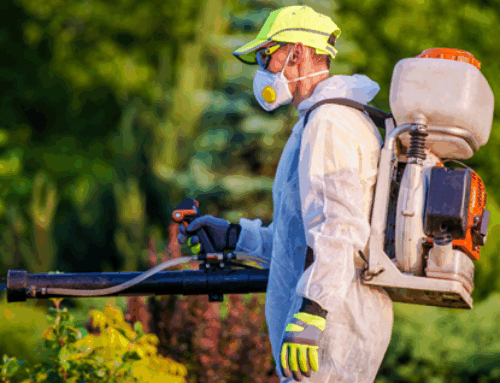 Linn County Pest Control That Works Without the Hassle