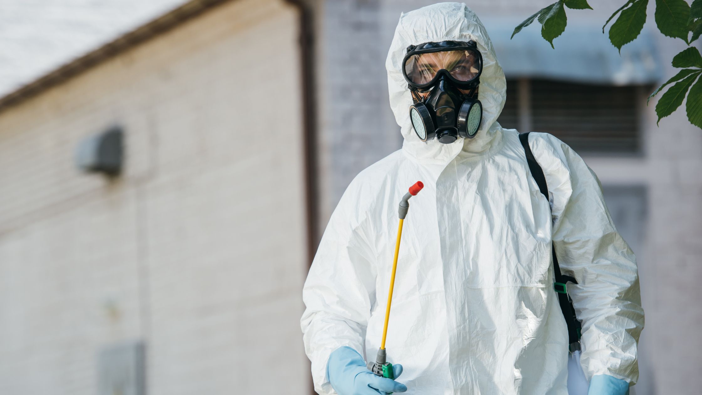 Bed Bug Treatment in Louisburg