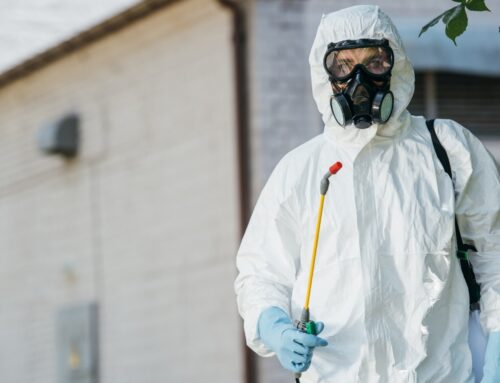 Why a Spring Hill Pest Control Company Actually Matters