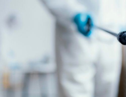 What Does a Pest Control Company in Spring Hill Actually Do (and When Should You Call One)?