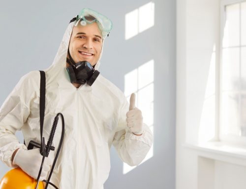 Should I Get a Pest Inspection Before Buying a House in Greeley?