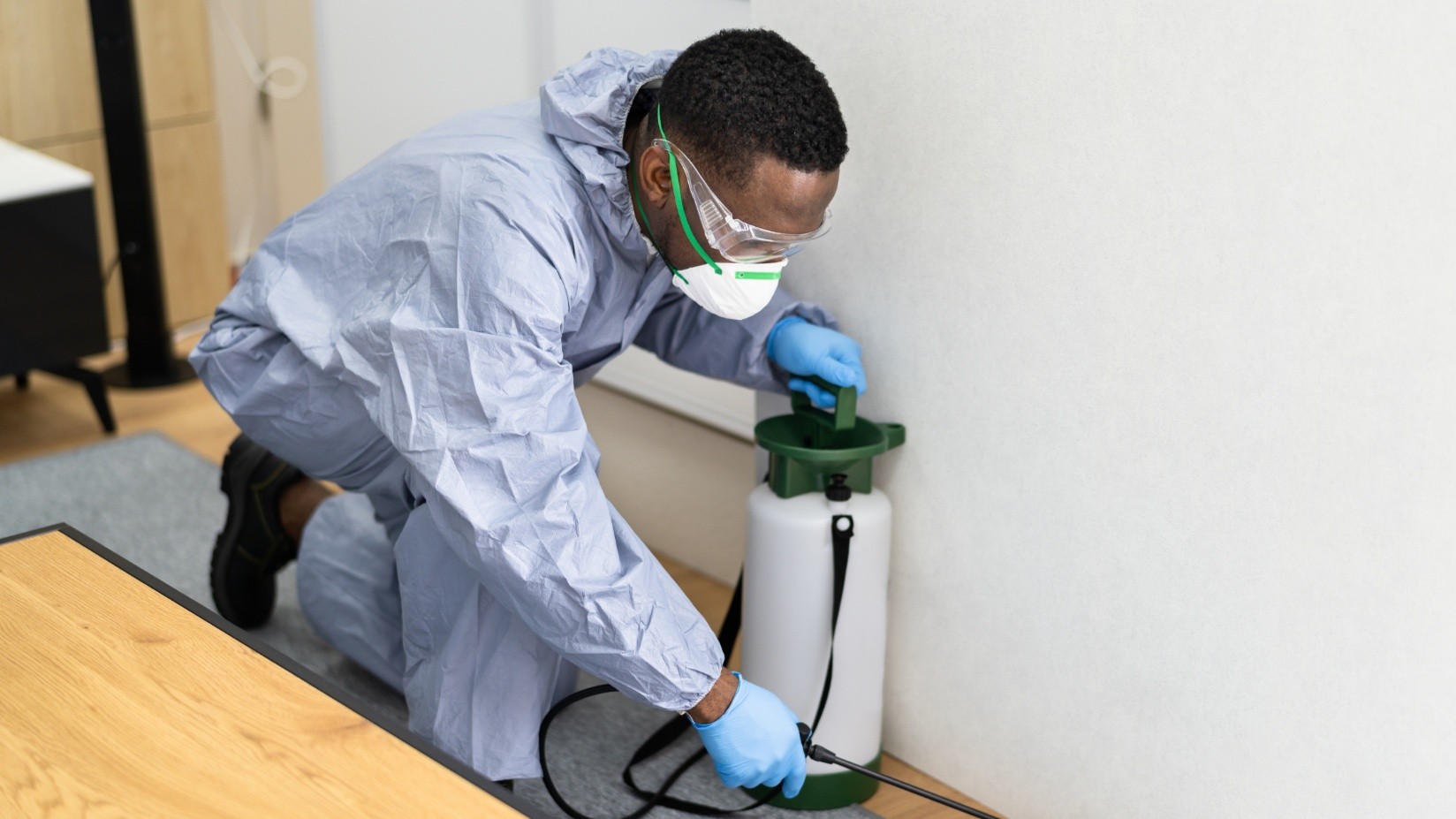 Pest Control Company in Greeley