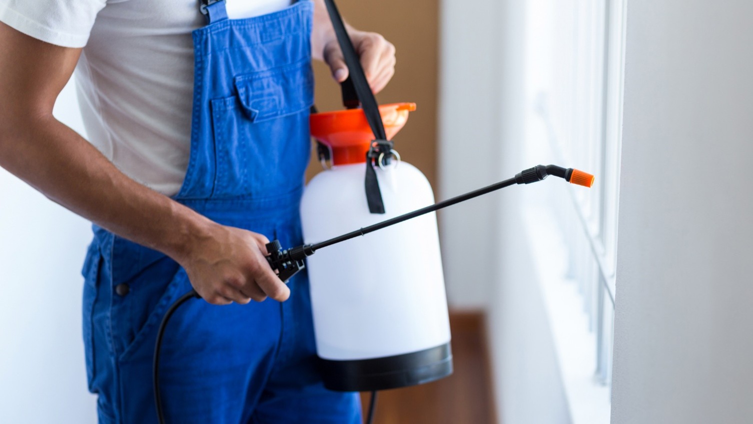 Pest Control Company in Spring Hill